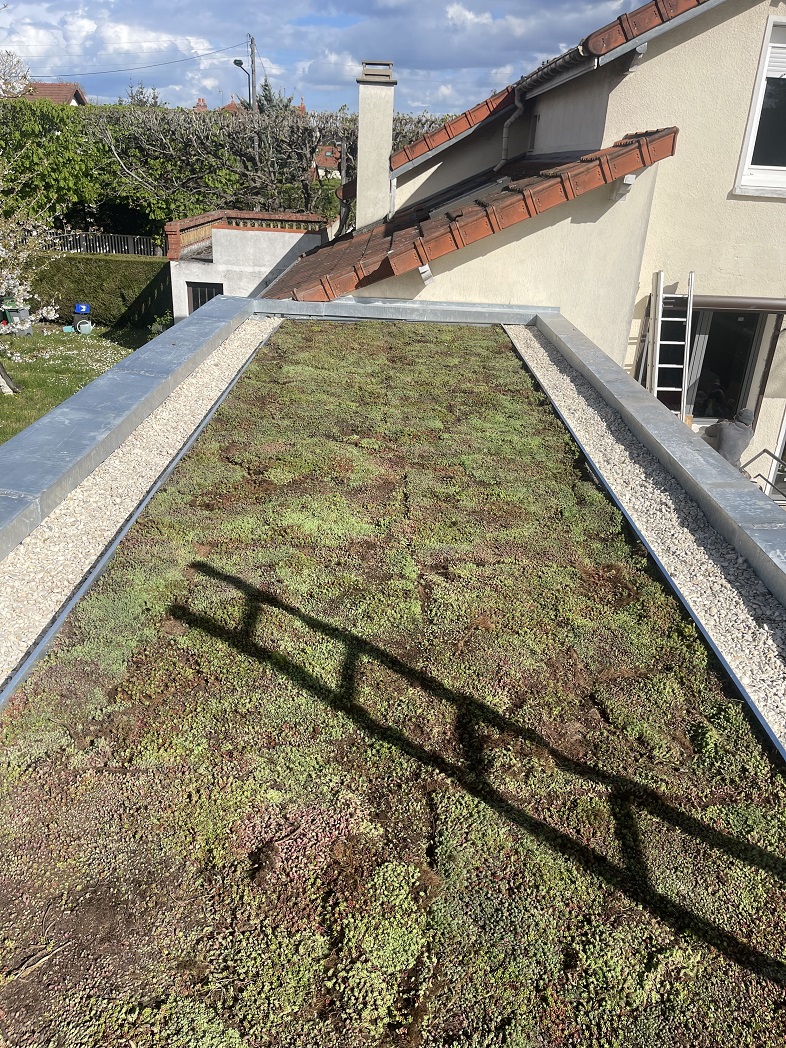 Toiture avec des végétaux